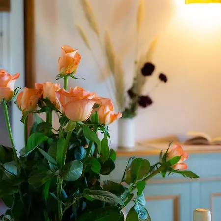 Al Confine By Mmega *